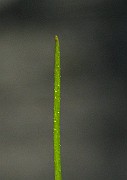 IMG_6306