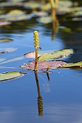 IMG_0975