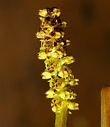 IMG_0994