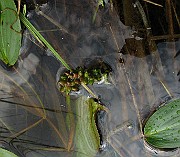 IMG_5148