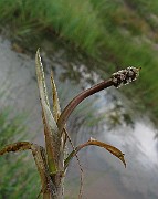 IMG_5160