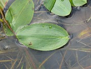 IMG_5162