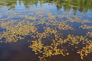 IMG_6772