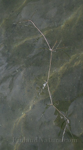 IMG_2671.jpg