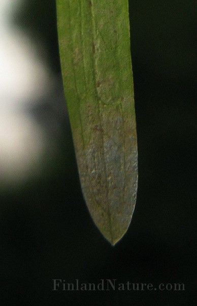 IMG_2748.jpg