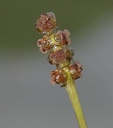 IMG_2647