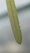 IMG_2746