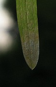 IMG_2748