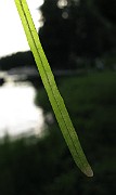 IMG_2750