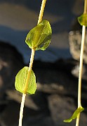 IMG_2344