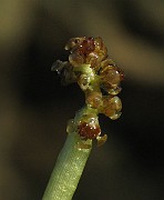 IMG_2351