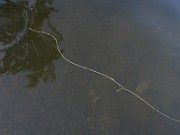 IMG_2353