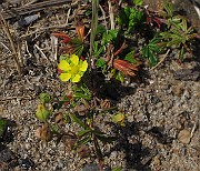 IMG_0527