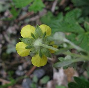 IMG_2876