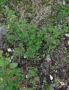 IMG_2877