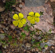 IMG_3711