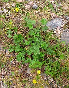 IMG_3712