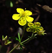 IMG_3871