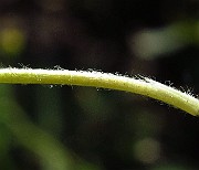 IMG_3872
