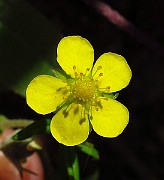 IMG_3875