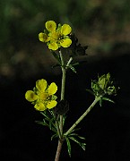 IMG_6835
