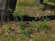 IMG_6836