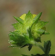 IMG_1621