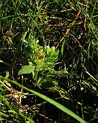 IMG_1580