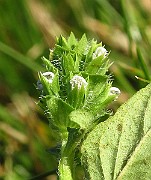 IMG_1581