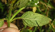 IMG_1584