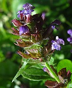 IMG_3085