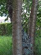 IMG_8015