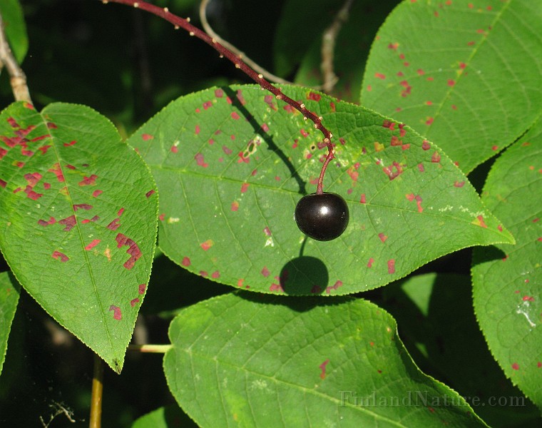 IMG_3360.jpg