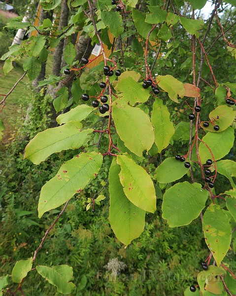 IMG_7114.JPG