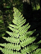 IMG_2785