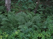 IMG_2843