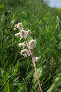 IMG_0080