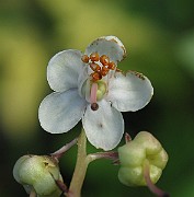 IMG_2292