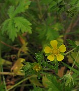 IMG_3517