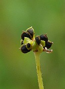 IMG_6304