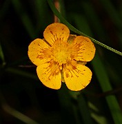IMG_6347