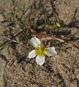IMG_0058