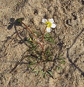 IMG_0060