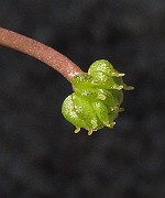 IMG_0063