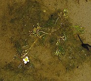 IMG_0936