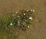 IMG_2592