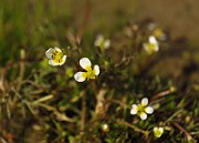 IMG_2593