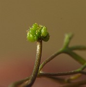 IMG_2607