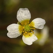 IMG_2610