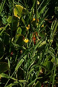 IMG_2176